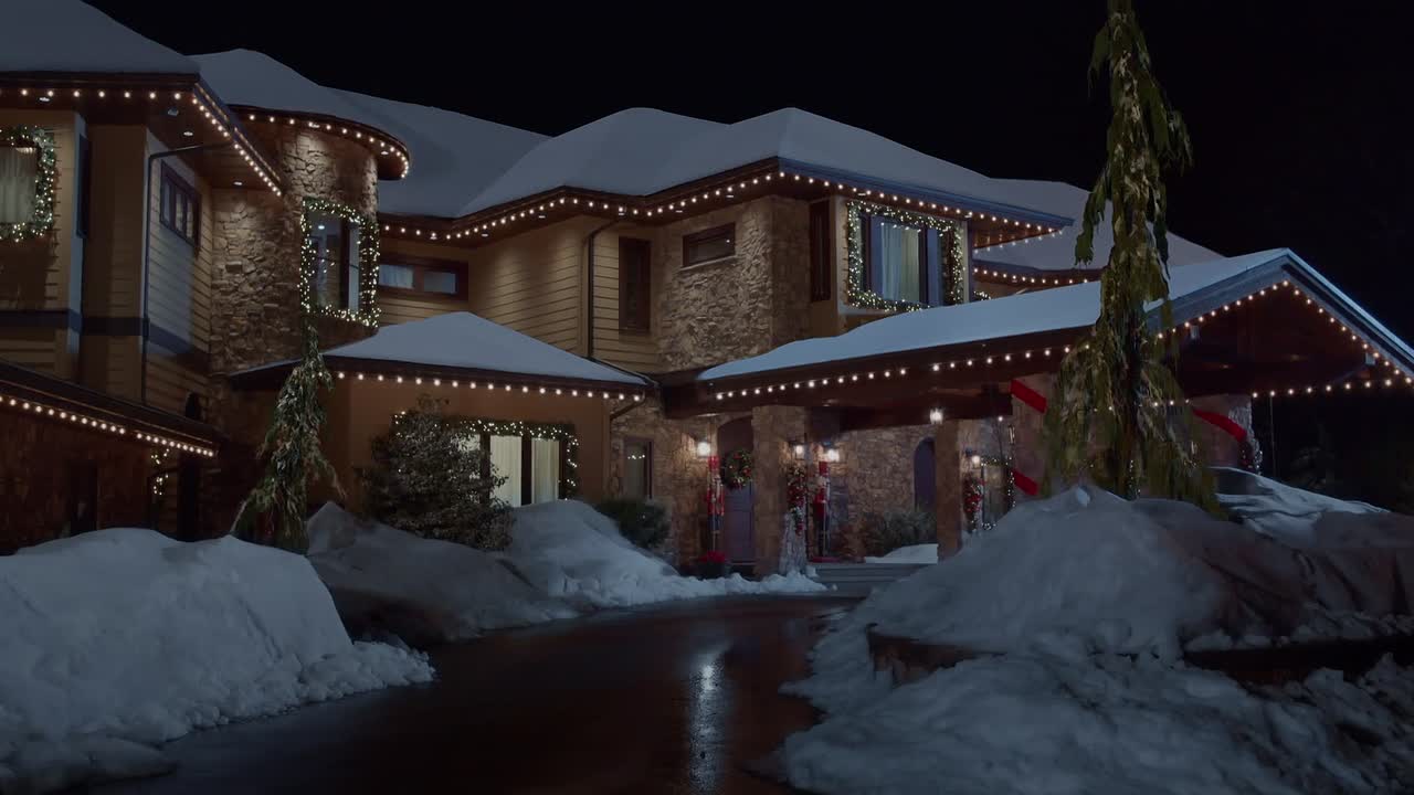 Christmas With The Darlings 2020 1080p WEBRip x264 AAC5 1-