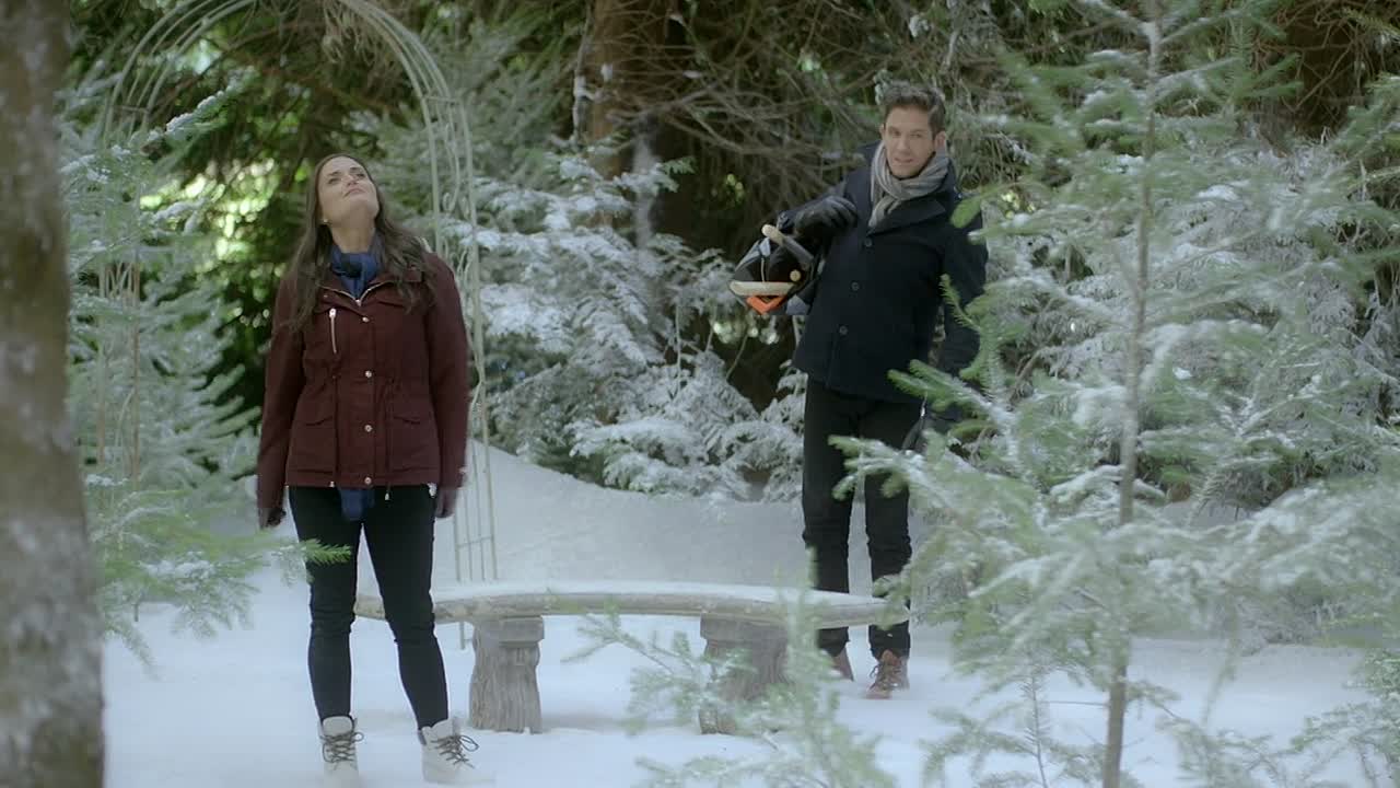 ⁣Coming Home For Christmas 2017 720p WEBRip x264 AAC-