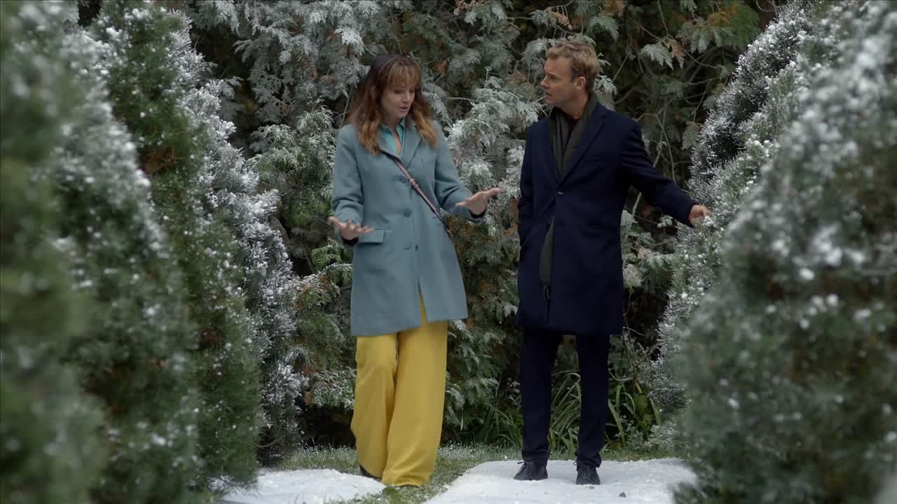 The Enchanted Christmas Cake 2021 1080p WEBRip x264 AAC-456movie net