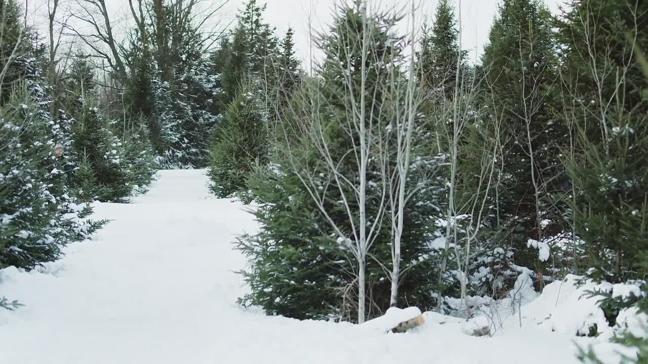 A Very Country Christmas Homecoming 2020 1080p WEBRip x264 AAC