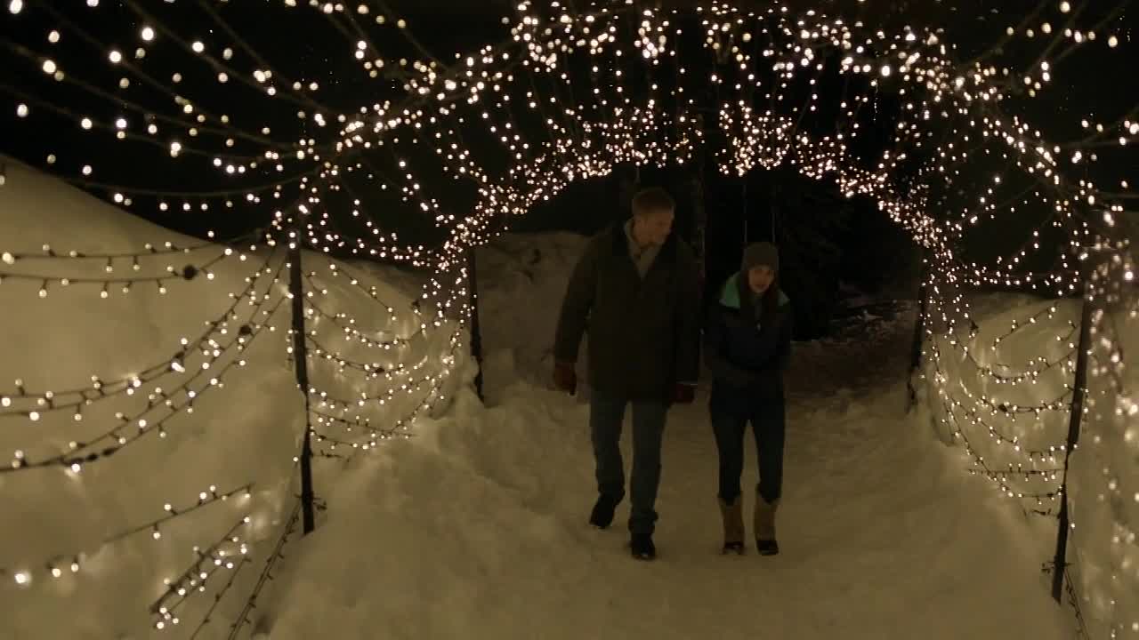 Home for Christmas Day 2017 720p HDRip x264 AAC