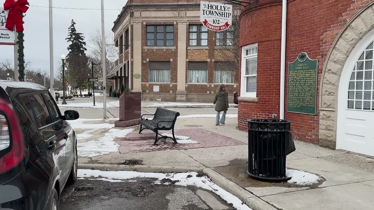 Doc Hollys Christmas 2024 1080p WEBRip x264 AAC-