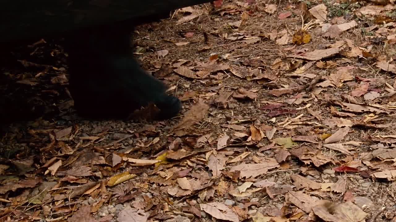 ⁣The City Of Violence 2006 KOREAN HC ENG SUBS 1036p BluRay x264 AAC-rivestream org