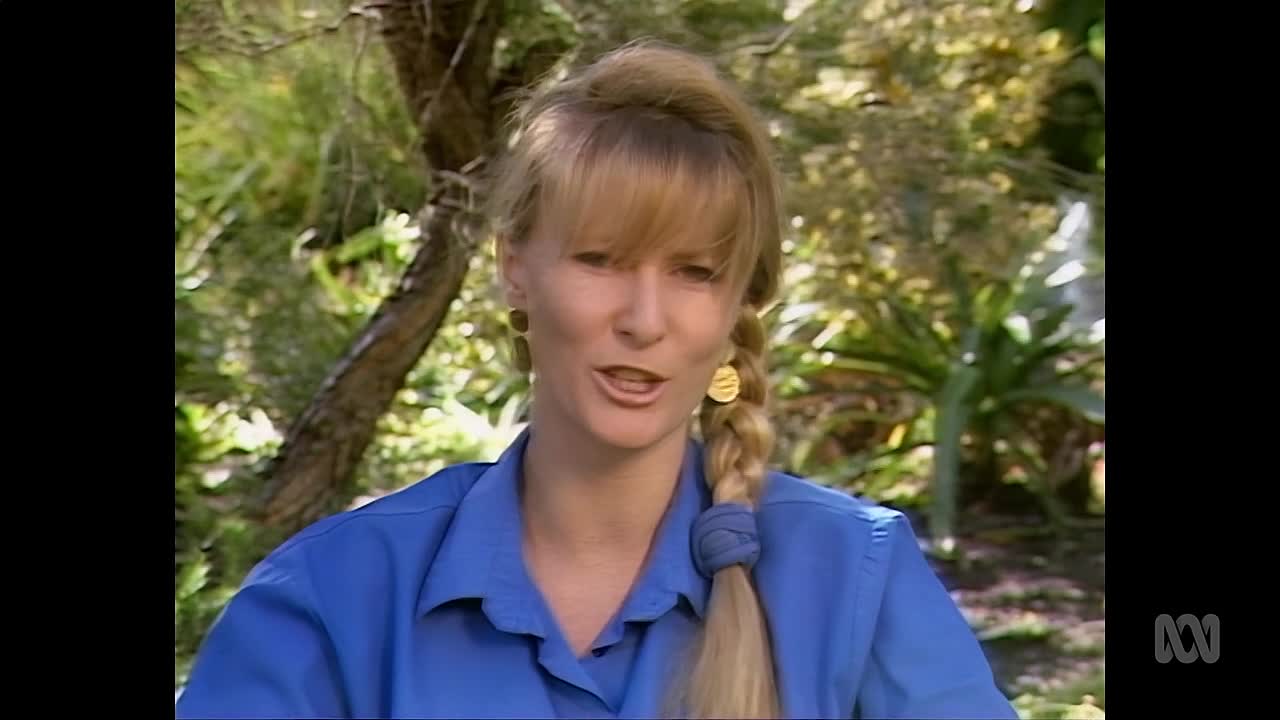 I Was Actually There S02E05 -Fairlie Arrow Abduction Hoax