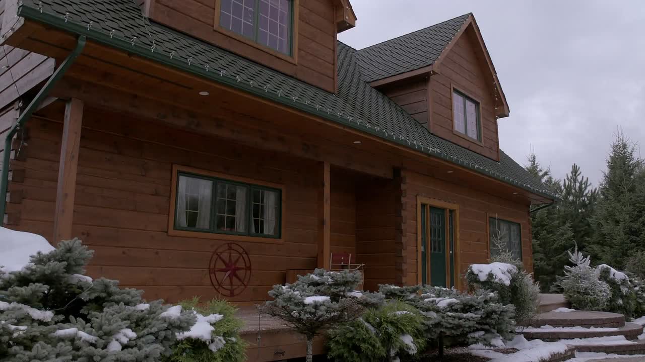 ⁣Last Chance For Christmas 2015 1080p WEBRip x264 AAC-RARBG