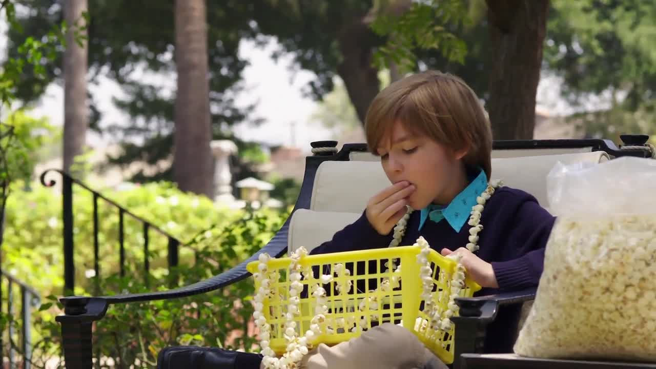 Christmas With the Andersons 2016 1080p WEBRip x264 AAC-rivestream org