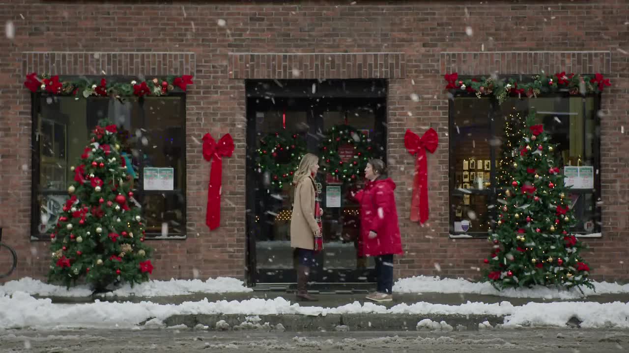 ⁣My Favorite Christmas Tree 2022 1080p WEBRip x264 AAC-rivestream org