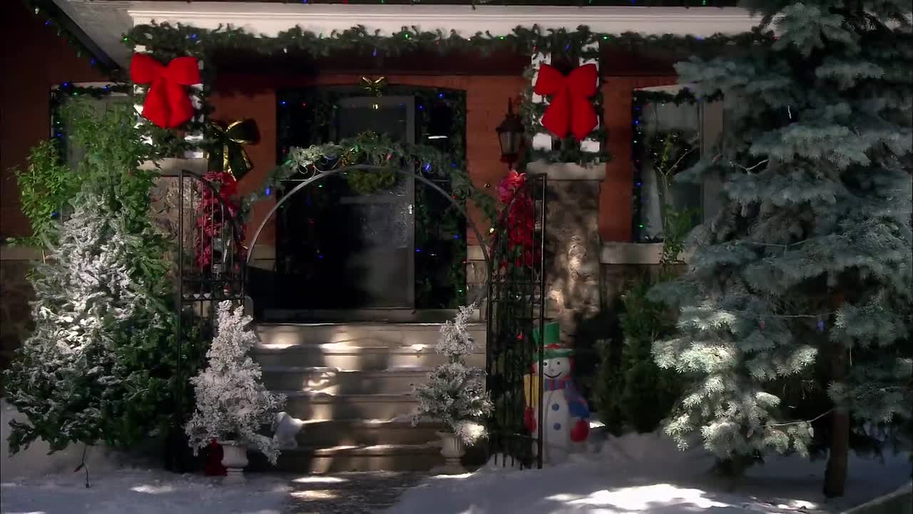 Baby's First Christmas 2012 1080p WEBRip x264 AAC-rivestream org