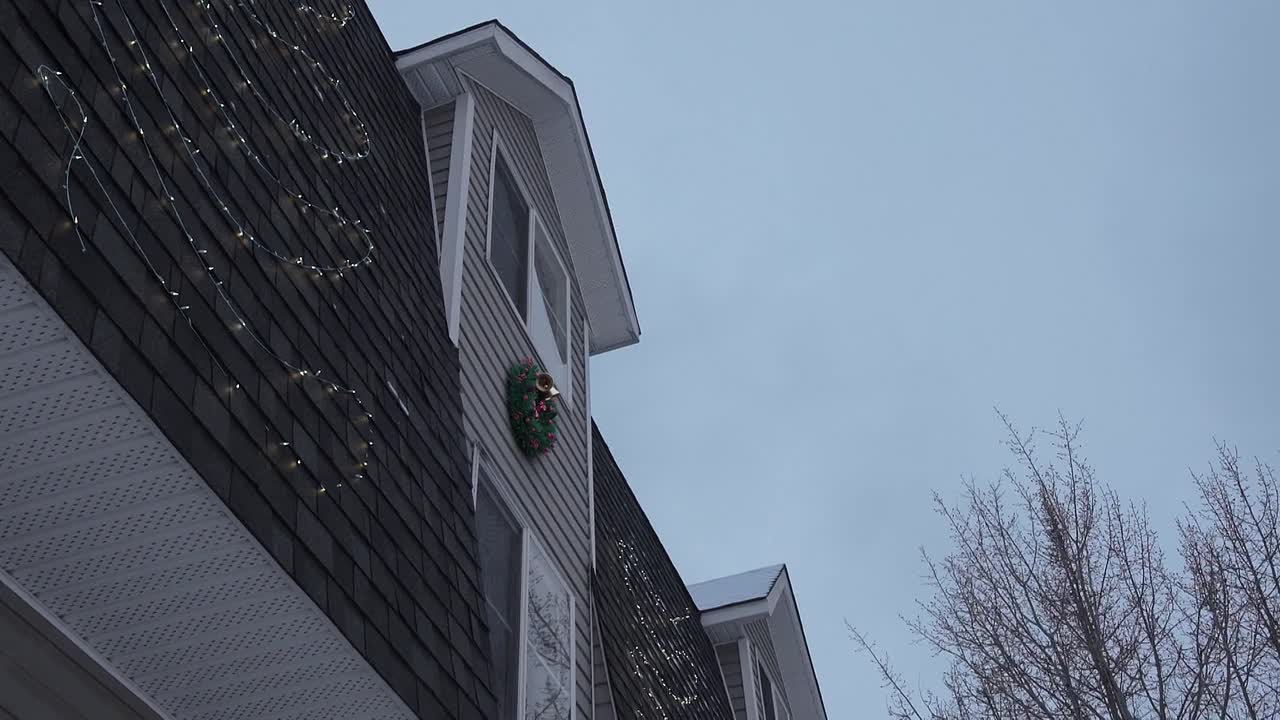 ⁣Christmas in Alaska 2024 1080p WEBRip x264 AAC-rivestream org