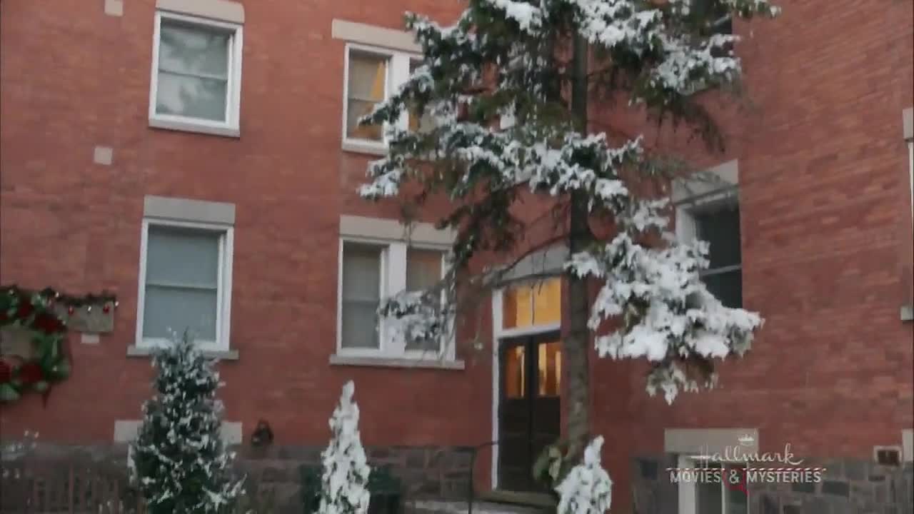 ⁣Christmas in Angel Falls 2017 WEBRip x264 AAC