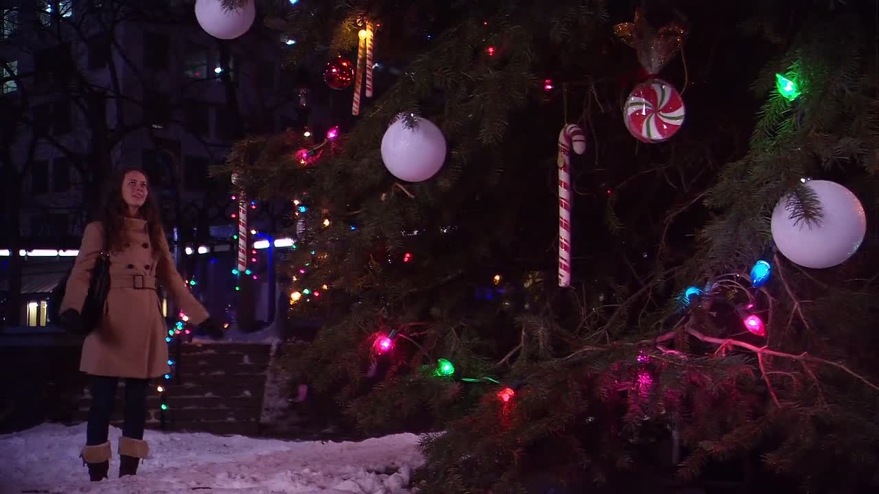 ⁣Dear Santa 2011 1080p WEBRip x264 AAC-rivestream org