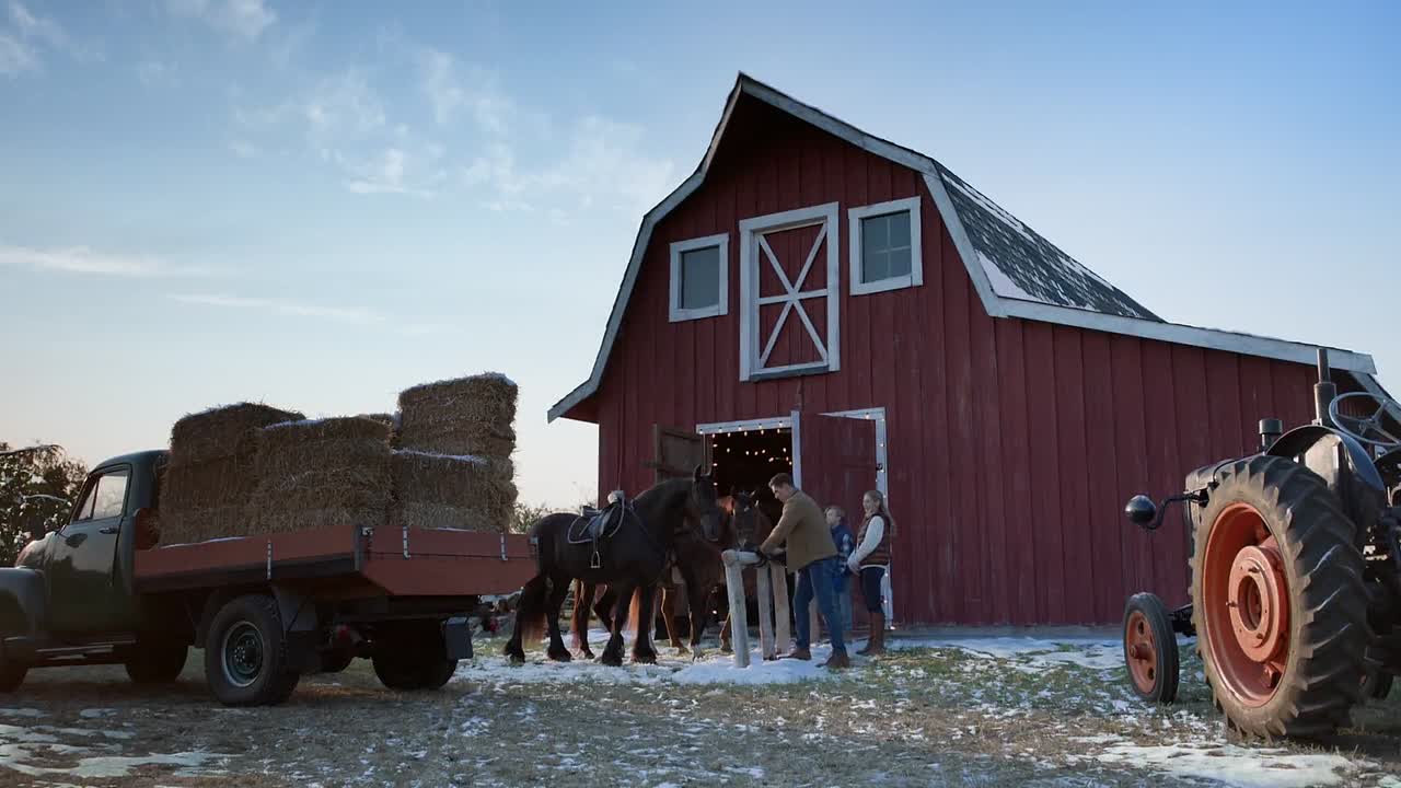 ⁣Debbie Macomber’s Joyful Mrs Miracle 2024 1080p WEBRip x264 AAC-rivestream org