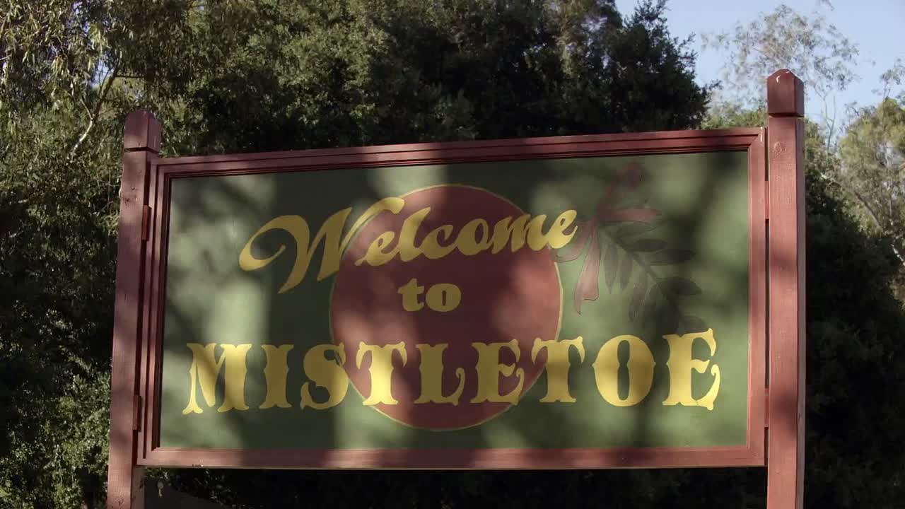 ⁣Farewell Mr Kringle 2010 1072p WEBRip x264 AAC-rivestream org