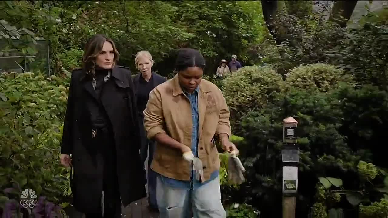 L and O (SVU) S27E05