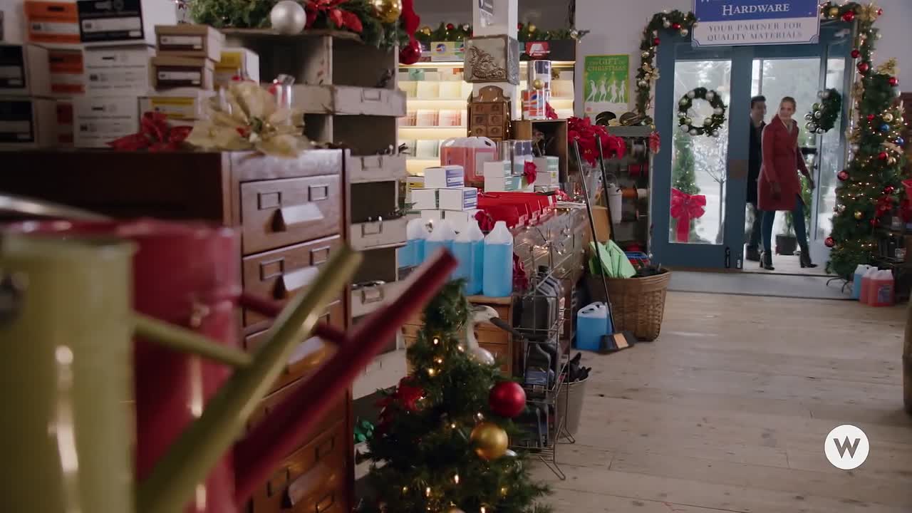 ⁣Holiday Date 2019 1072p WEBRip x264 AAC-rivestream org