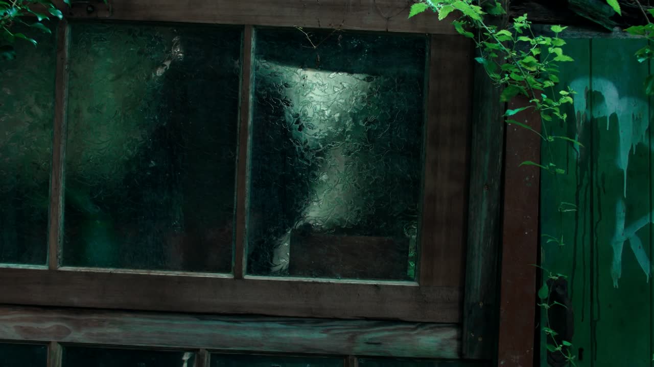 Anemone 2025 1080p WEBRip 10Bit DDP5 1