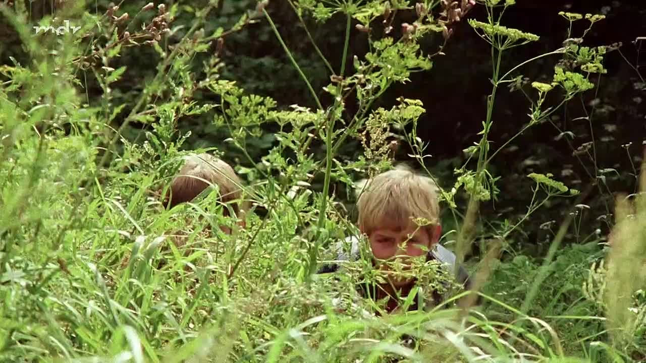 ⁣Sieben Sommersprossen 1978 720p HDRip x264 AAC