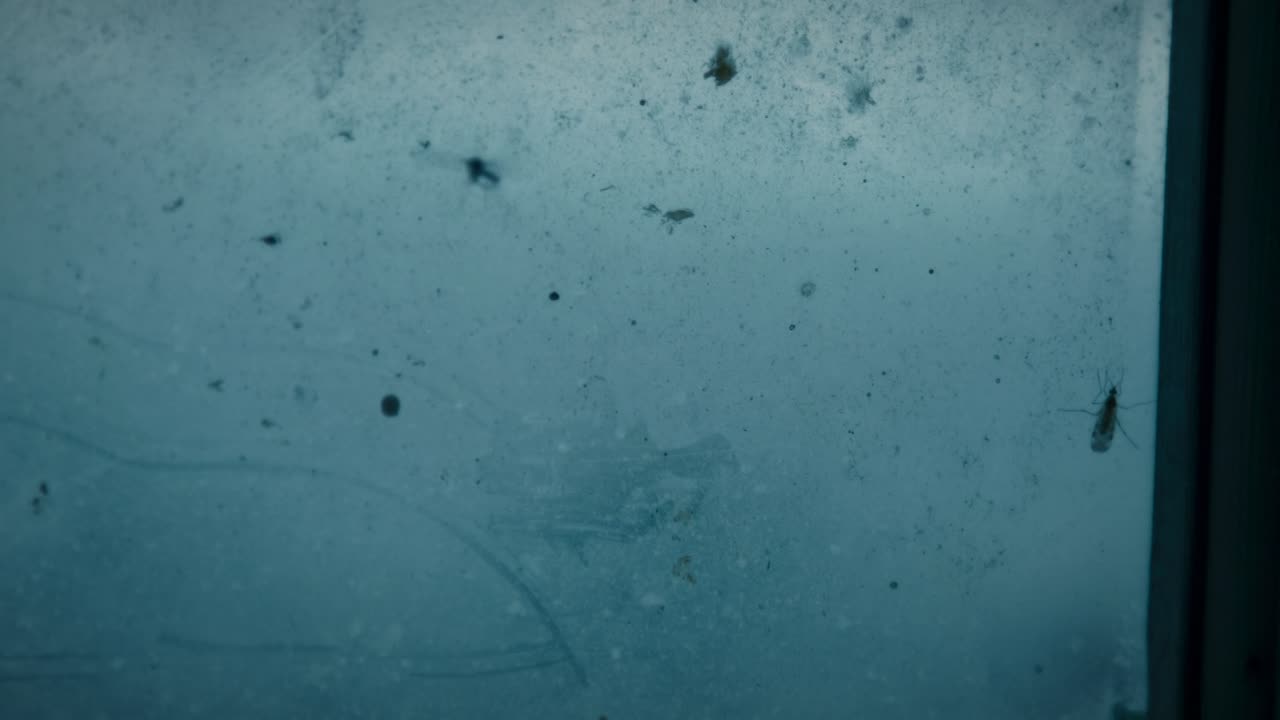 All the Devils are Here 2025 1080p WEBRip 10Bit DDP5 1