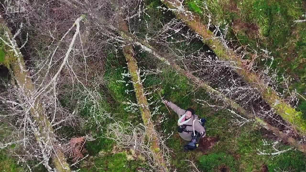 Hamza's Hidden Wild Isles S01E04 -Winter