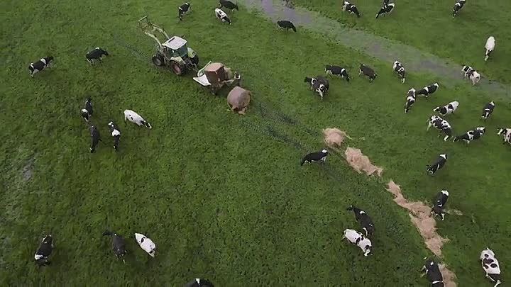 ⁣Cheese Searching For A Taste Of Place S01E01 -America