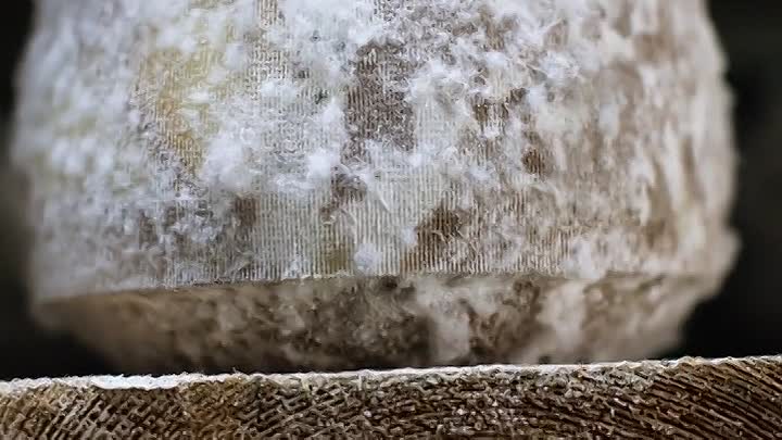 ⁣Cheese Searching For A Taste Of Place S01E03 -Milk And It's Microbes