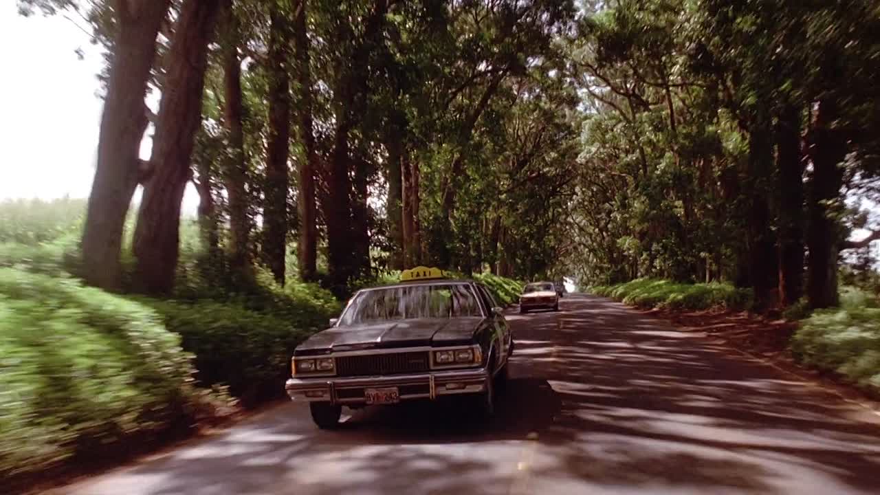 Honeymoon in Vegas 1992 1080p BluRay x264 YIFY