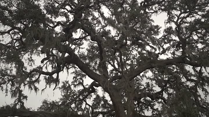 World's Most Dangerous Prisoners S02E03