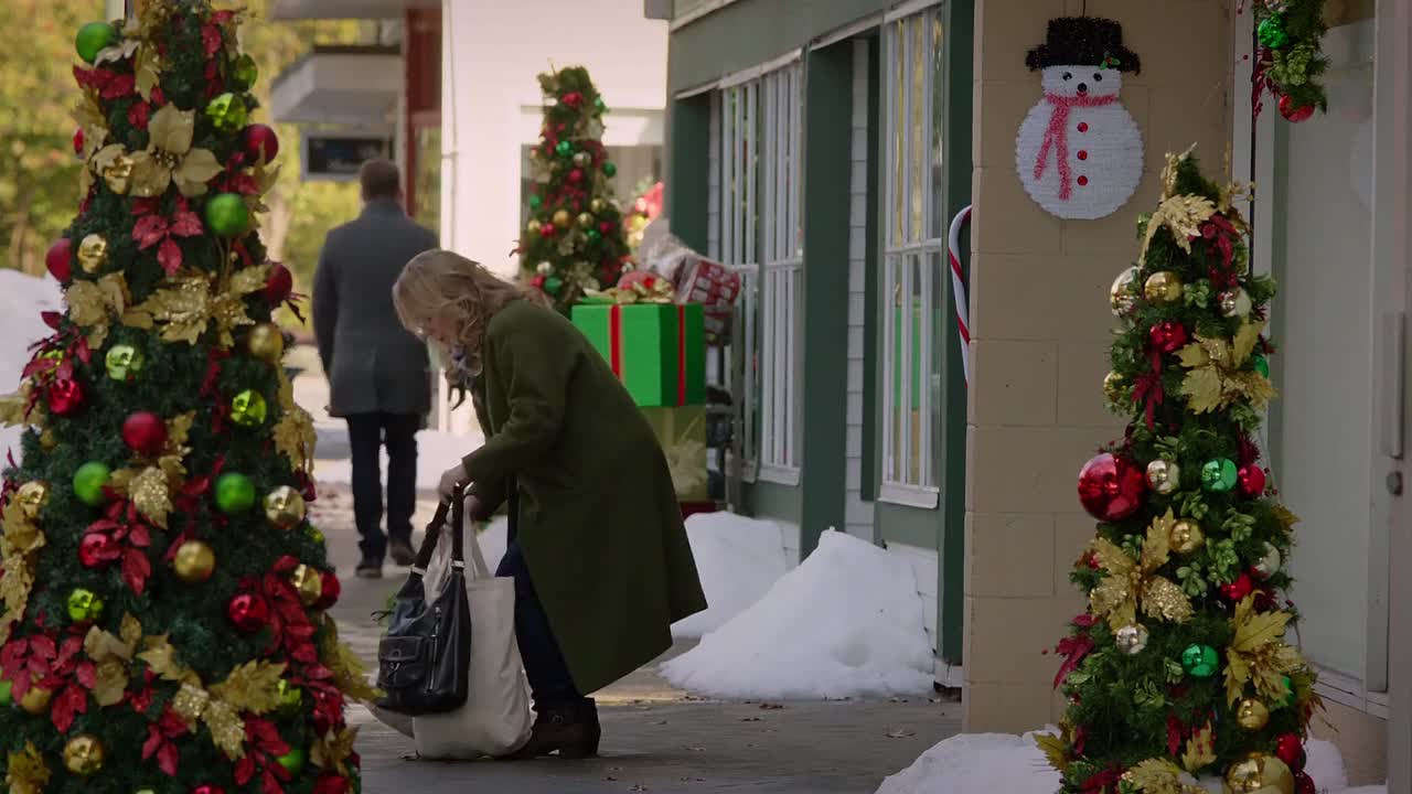 A Joyous Christmas 2017 1080p WEBRip x264 AAC-rivestream org