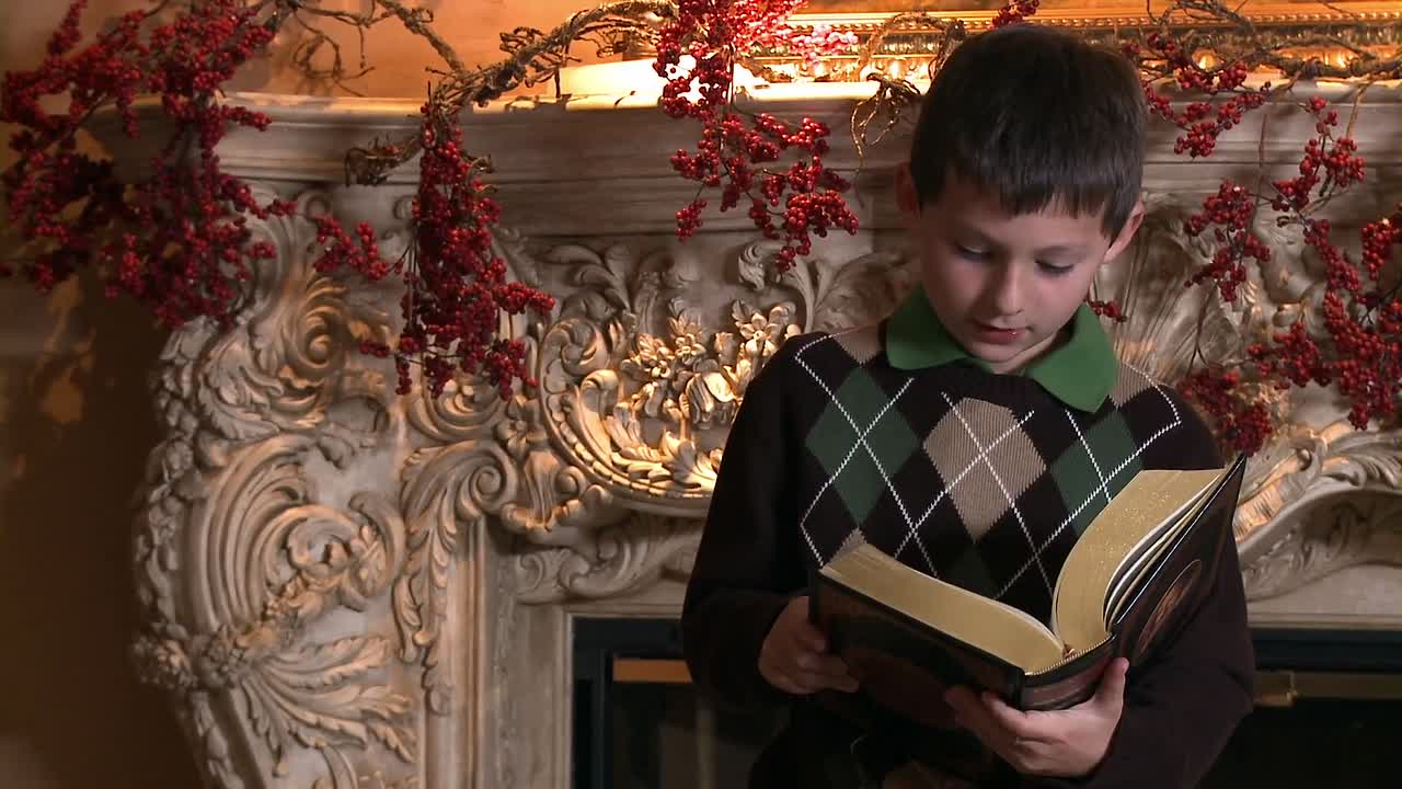 ⁣A Nanny for Christmas 2010 1080p WEBRip x264 AAC-rivestream org