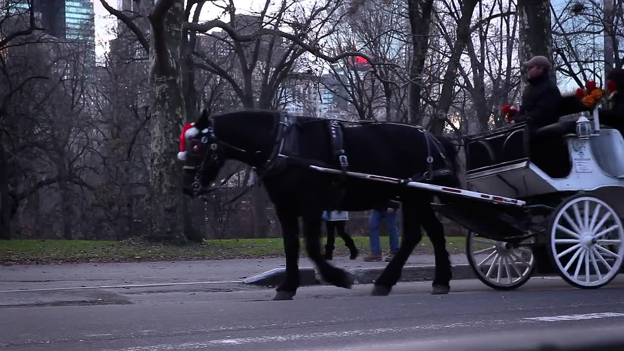 All About Christmas Eve 2012 1080p WEBRip x264 AAC-rivestream org