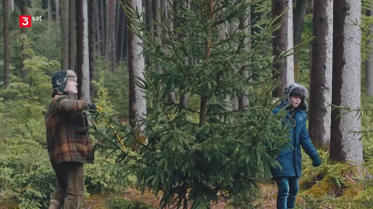 Alle Nadeln An Der Tanne 2020 GERMAN 1080p HDRip x264 AAC