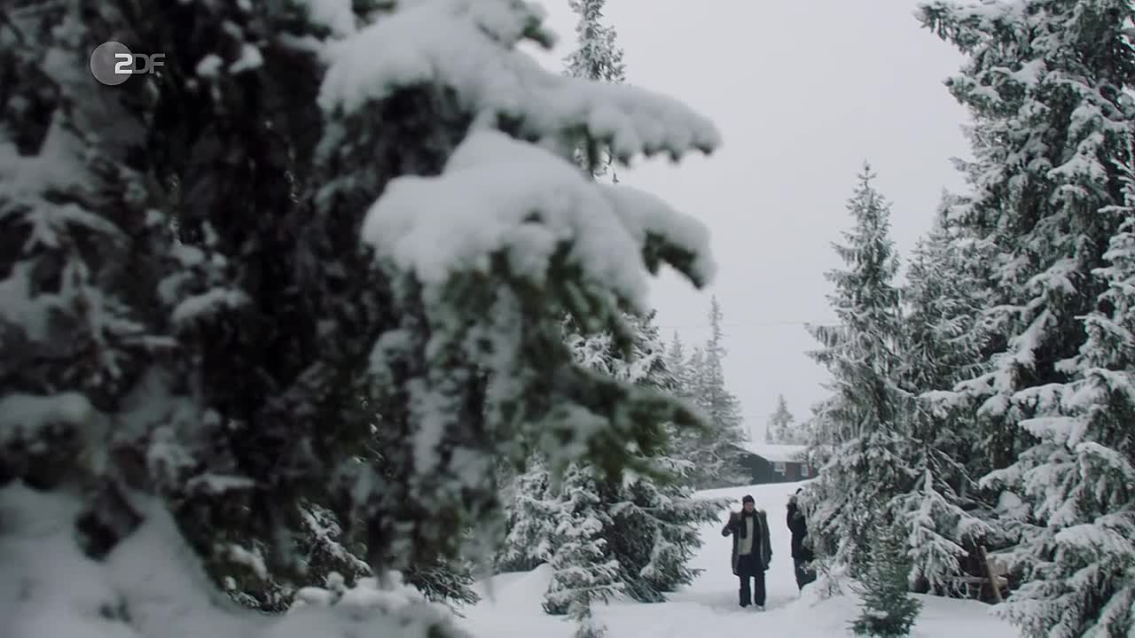 Weihnachten im Schnee 2019 GERMAN 1080p HDRip x264 AAC