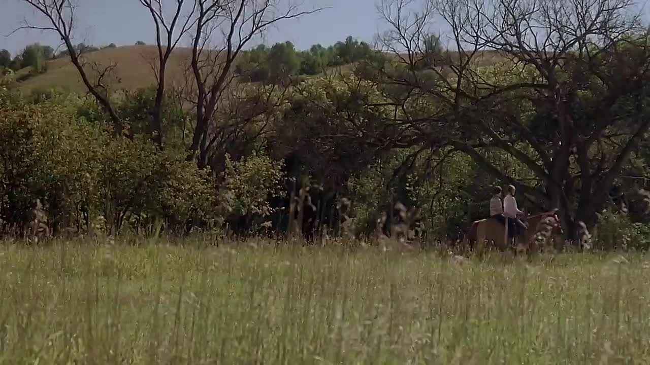 Skipped Parts (2000)