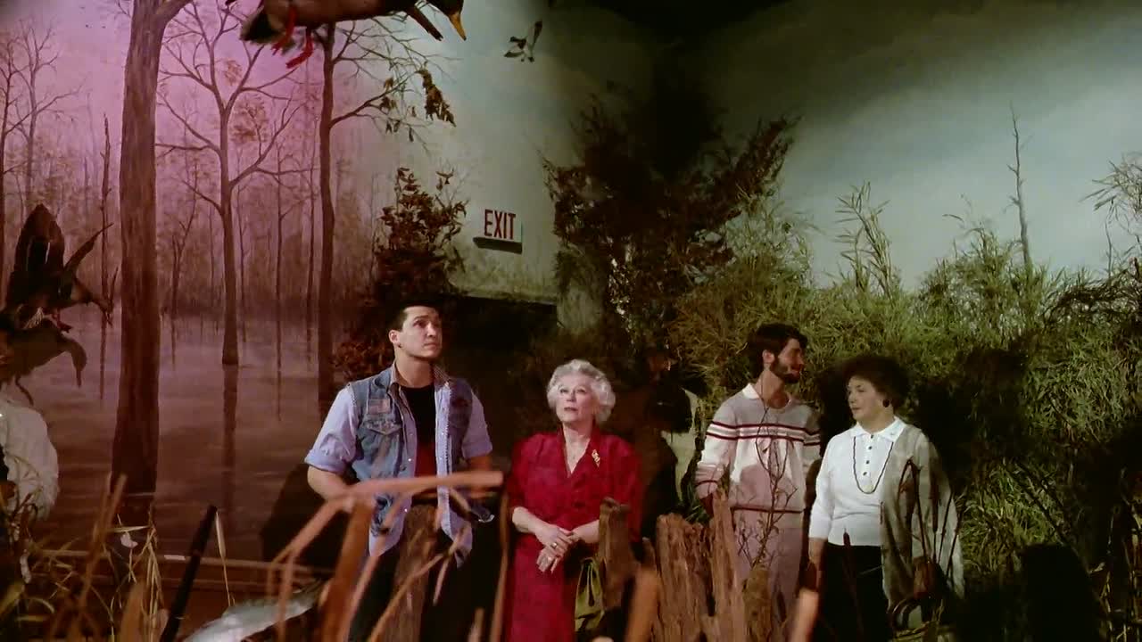 ⁣Rosalie goes Shopping 1989 GERMAN 1080p HDRip x264 AAC-streamcloud my