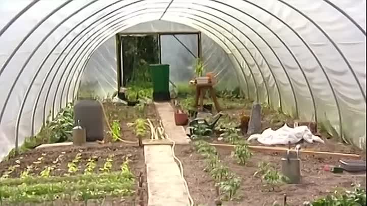 ⁣Classic Come Dine With Me -Cambridge