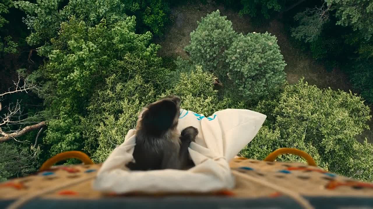 Akiko der fliegende Affe 2024 GERMAN 720p HDRip x264 AAC-streamcloud my