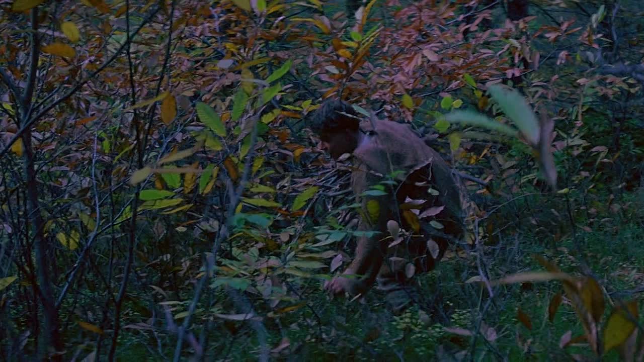 Ladyhawke 1985 1080p BluRay x264-[YTS AM]