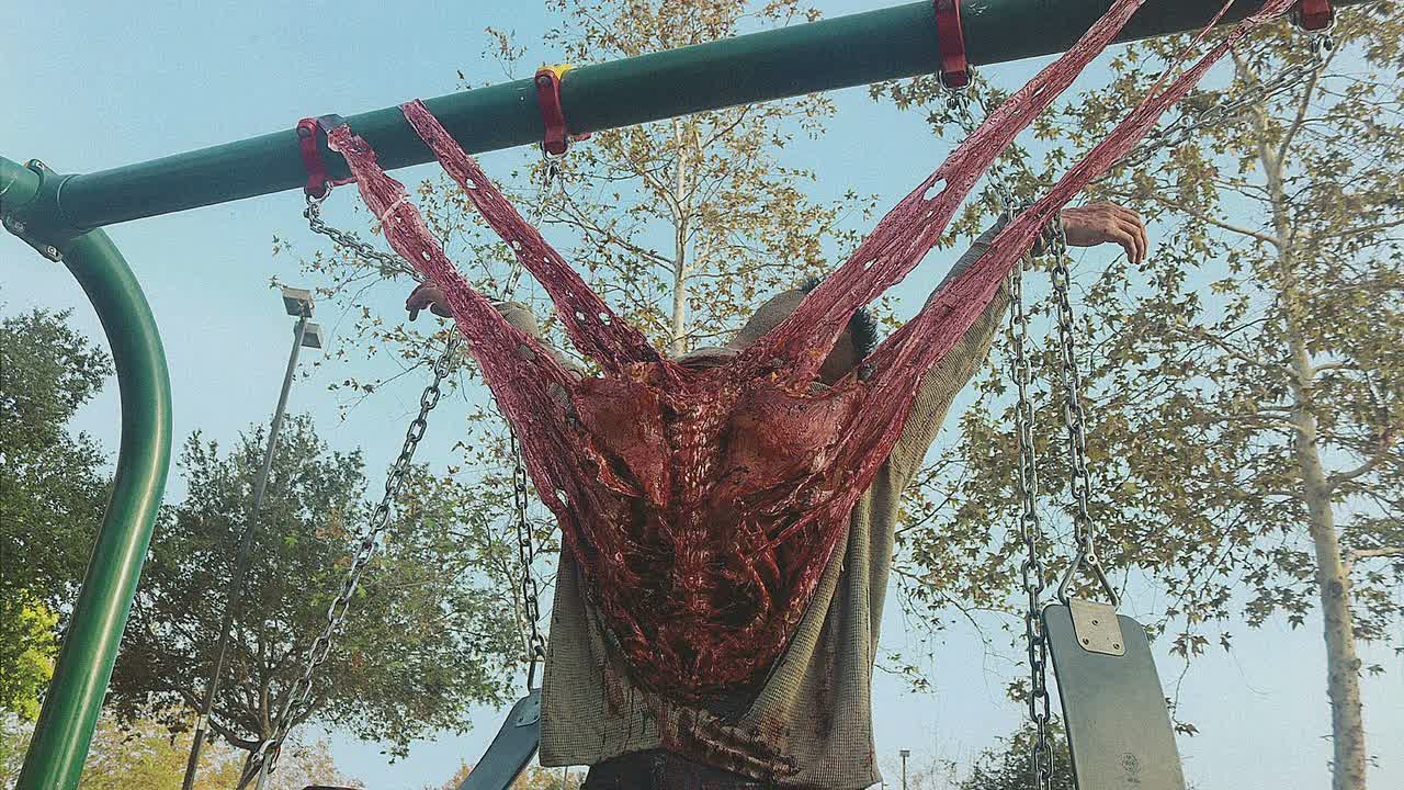 Strange Harvest 2025 1080p WEB-DL EAC3 H264-NoGrp