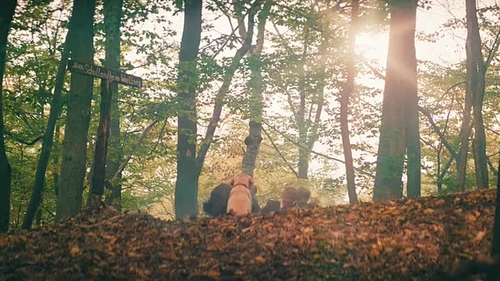 Die unlangweiligste Schule der Welt 2023 GERMAN 480p HDRip x264 AAC-streamcloud my