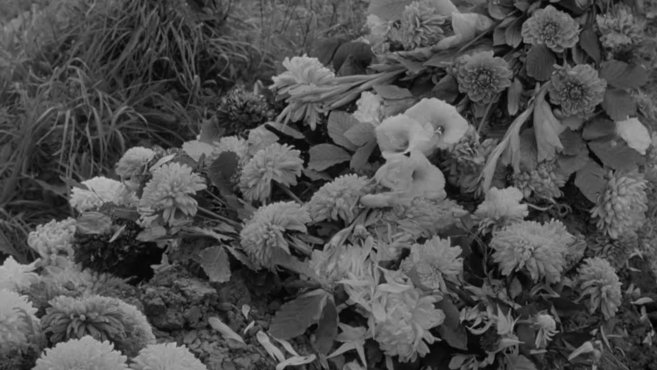 ⁣Look Back In Anger 1959 1080p BluRay x264-[YTS AM]