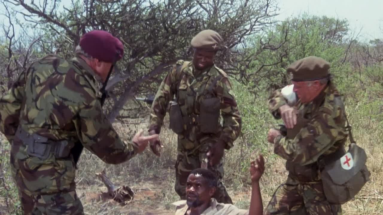 ⁣The Wild Geese 1978 1080p BluRay x264-[YTS AM]