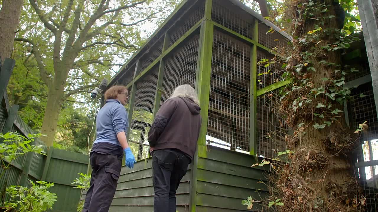 ⁣Britain's Most Scenic Counties -Cheshire S01E03