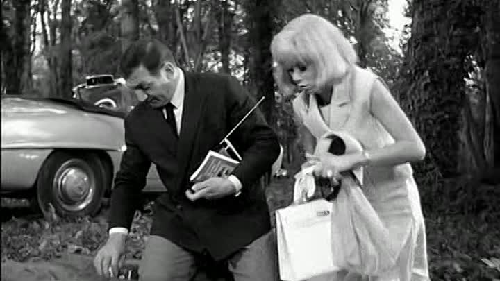 Les Barbouze 1964 FRENCH DVDRip