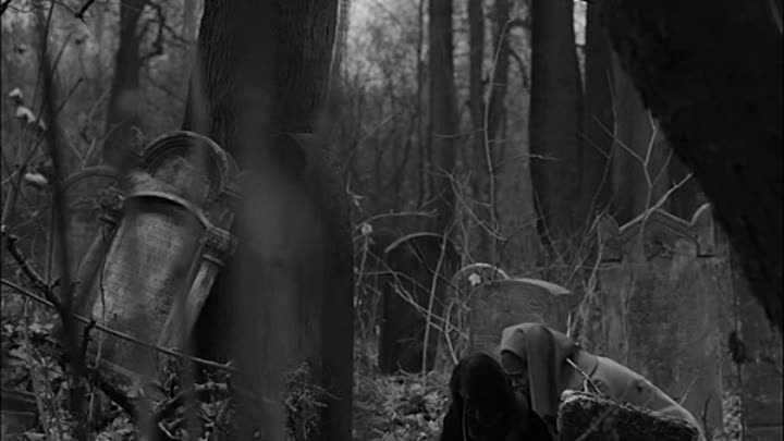 Ida 2013 POLISH HC ENG SUBS DVDRip AC3