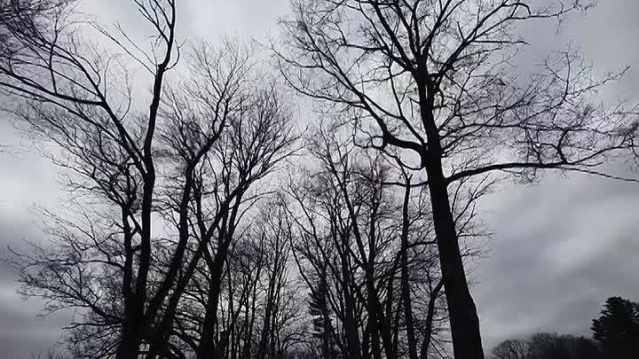 ⁣The American Revolution S01E02