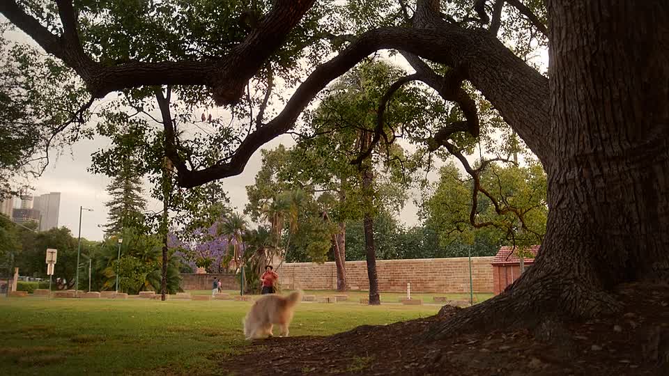 He Had It Coming S01E02