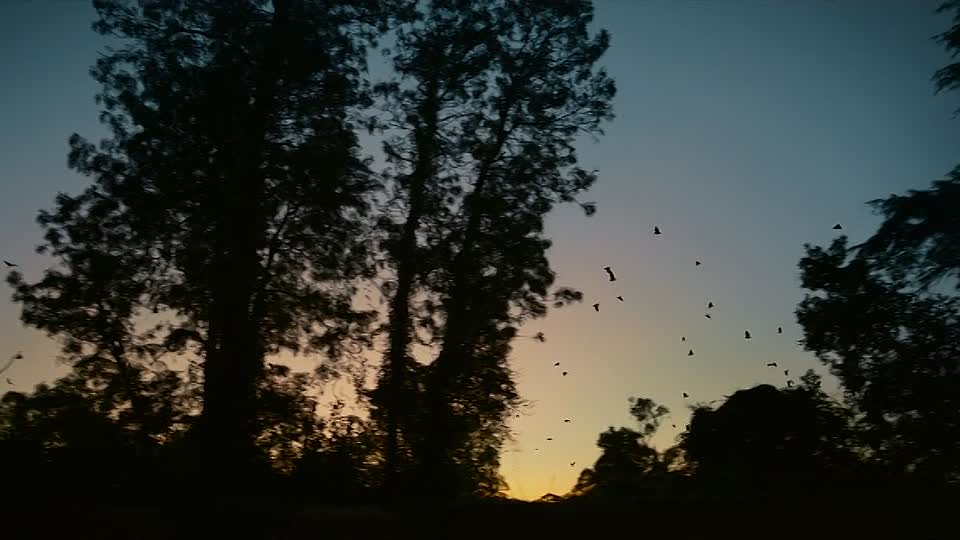 ⁣He Had It Coming S01E04