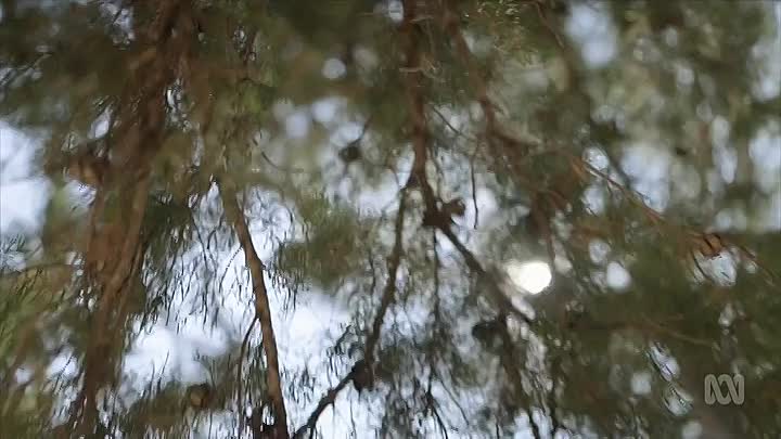 When The War Is Over S01E01 -Gallipoli