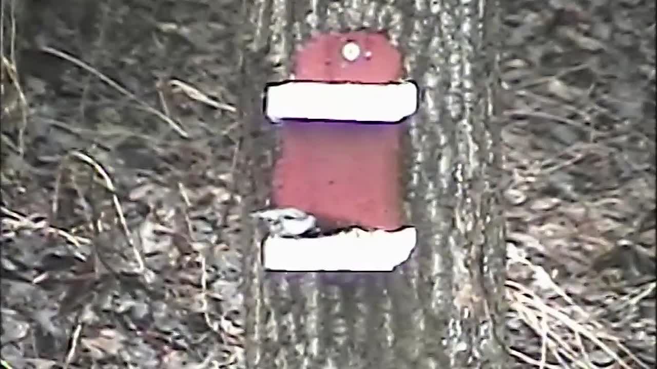 Plainclothes 2025 1080p WEBRip x264 AAC-