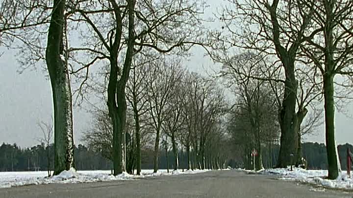 ⁣Liebling ich muss auf Geschaeftsreise 1995 GERMAN 480p HDRip x264 AAC-streamcloud my